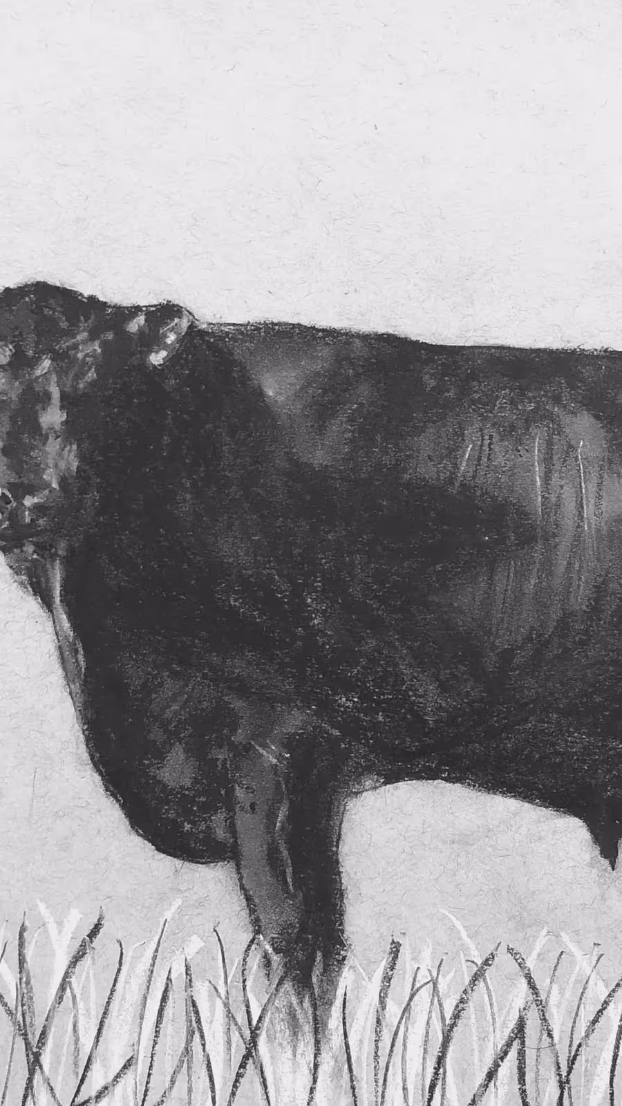 Brad's Bull