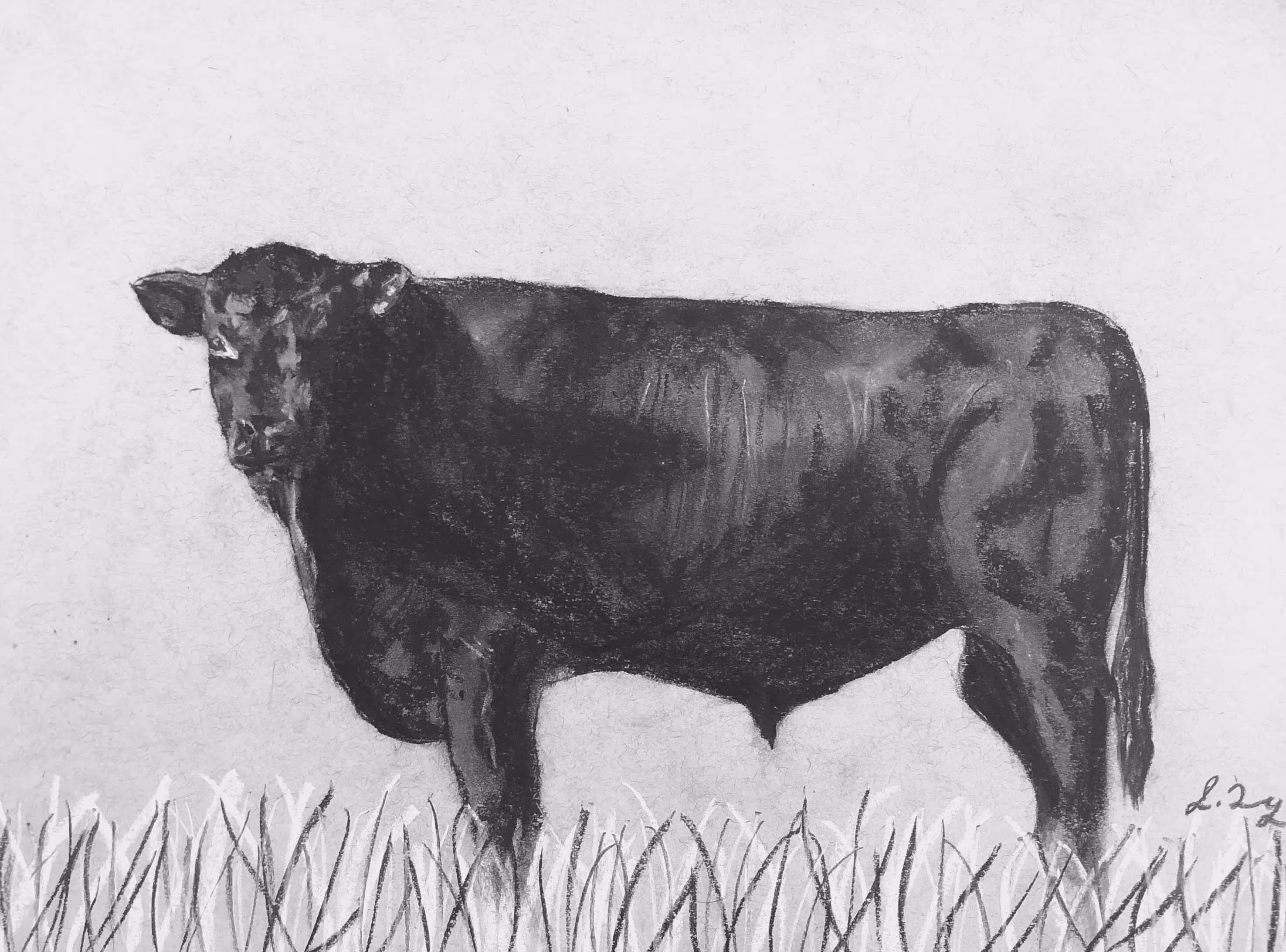 Brad's Bull