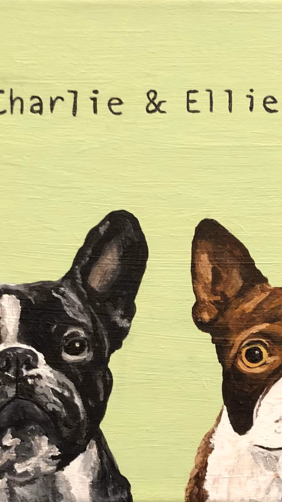 Charlie & Ellie Commission