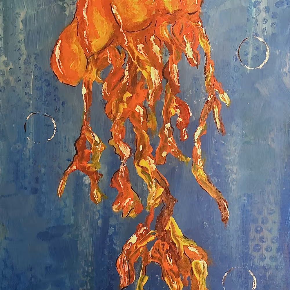 Jellyfish II