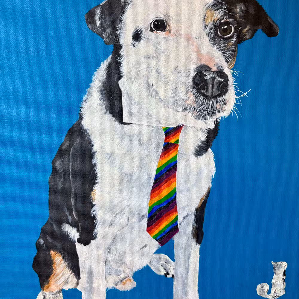 Mr G. Pet Portrait