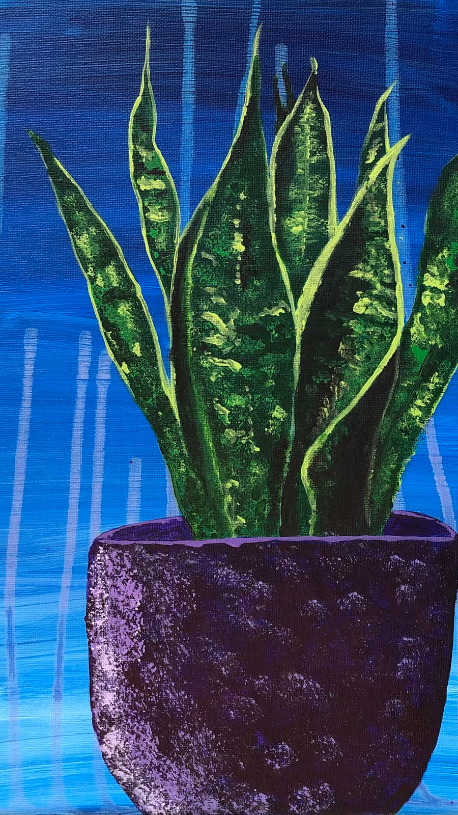 Snake Plant Study